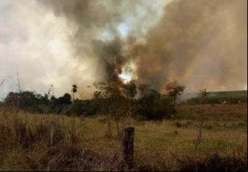 Incêndio na pequena área de preservação permanente. - Foto: Maria Inácia 