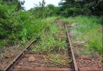 Tribunal prorroga concessão de linha férrea em trecho que beneficia Colômbia - Foto: Tininho Junior