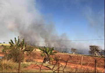 Incêndio atinge canavial na Fazenda Colômbia - Foto: Portal NC