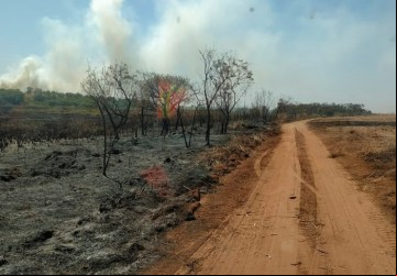 Defesa Civil confirma preocupação com incêndios em áreas de vegetação de Colômbia - Foto: Portal NC