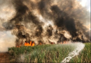 Colômbia tem aumento de focos de incêndio neste ano - Foto: Portal NC