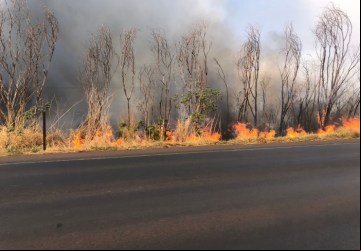 Incêndio de grandes proporções atinge canaviais próximo da área urbana de Colômbia - Foto: Maria Inácia 