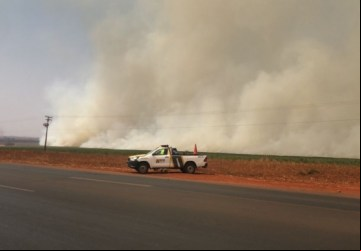 Incêndio atinge canavial às margens da Faria Lima - Foto: 