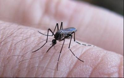 Casos de dengue em 2025 se aproximam do total registrado em todo o ano ado em Colômbia